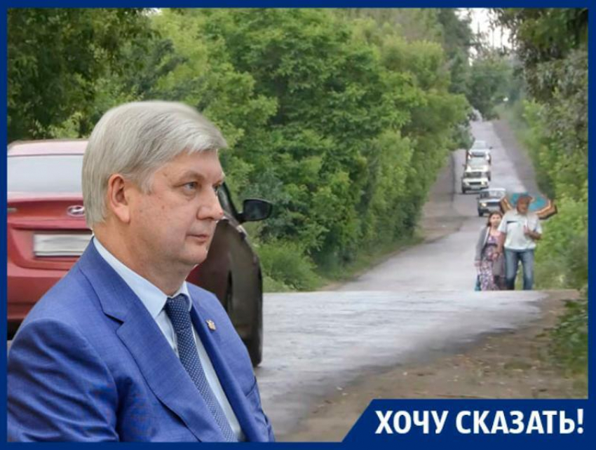 Воронежцы требуют от губернатора Гусева безопасную и качественную дорогу