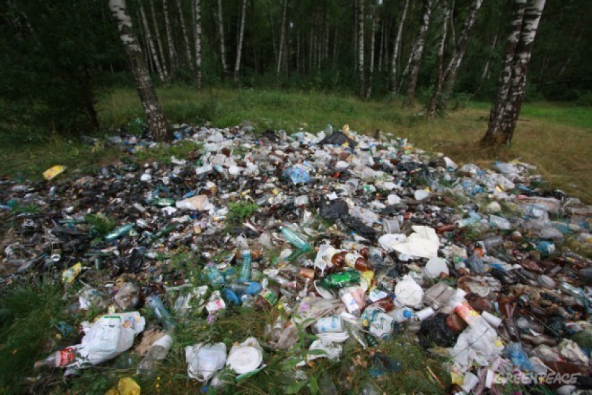 В Воронежской области начнут убирать несанкционированные свалки
