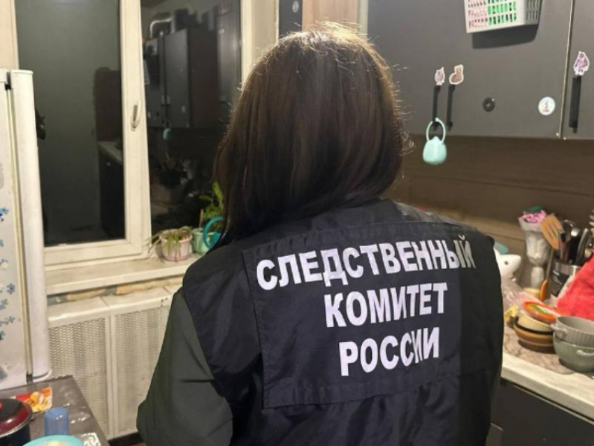 Горе-мать лишили родительских прав после истязания годовалого сына в Воронеже 