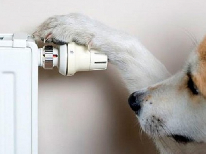 Где не будет горячей воды и тепла в Воронеже