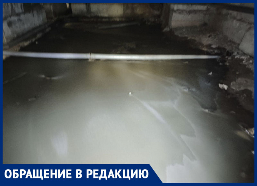 Неимоверная вонь испытывает воронежцев на прочность 