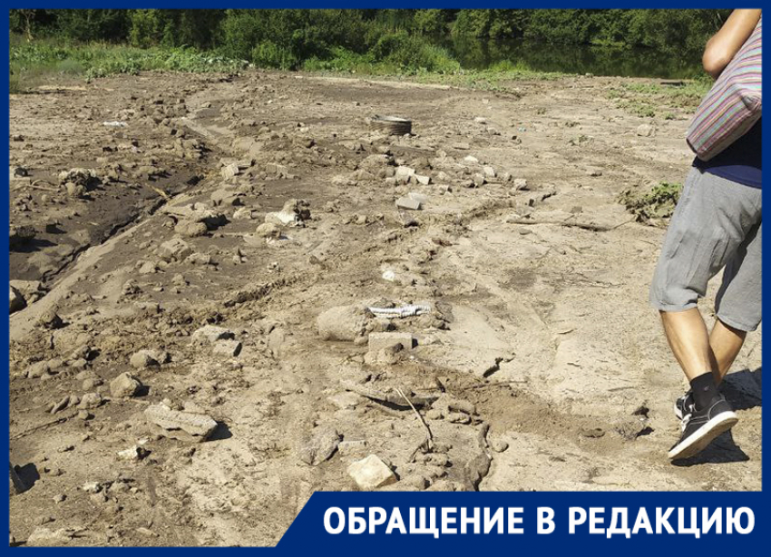 «Озеро в опасности»: воронежцы обеспокоены судьбой водоема 
