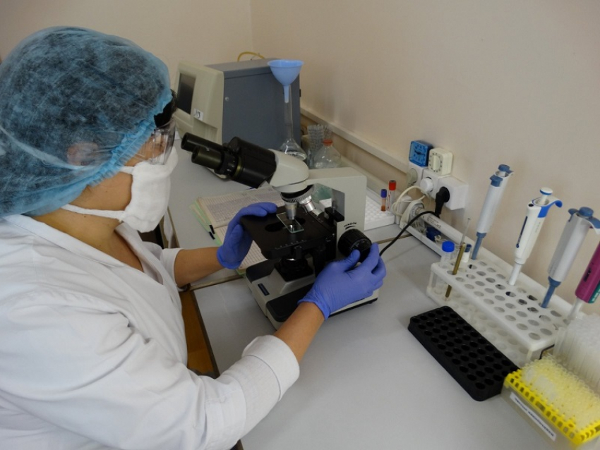 Еще три лаборатории стали делать тест на COVID-19 в Воронеже