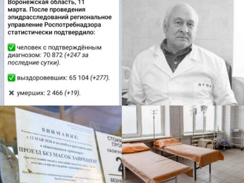 Коронавирус в Воронеже 11 марта: +247 зараженных, смерть инфекциониста и поручение Гусева