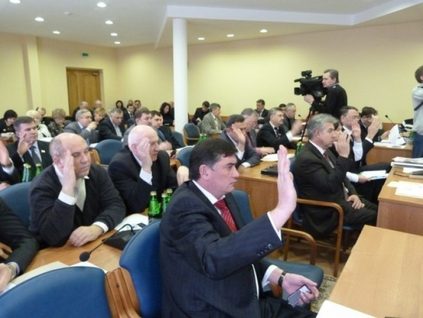 За кресла депутатов в воронежской городской Думе поборются еще два кандидата