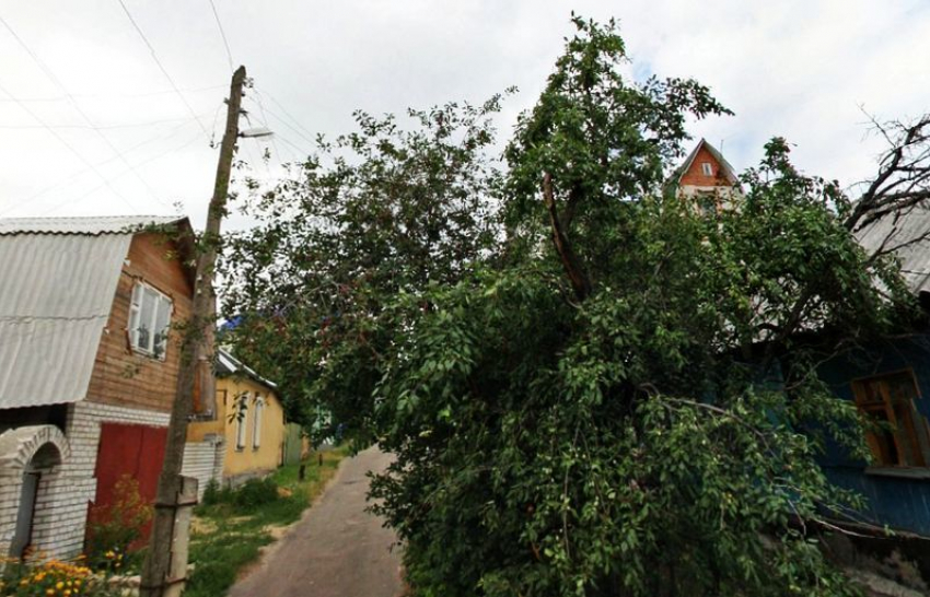 В центре Воронежа люди живут на улице имени несуществующего человека