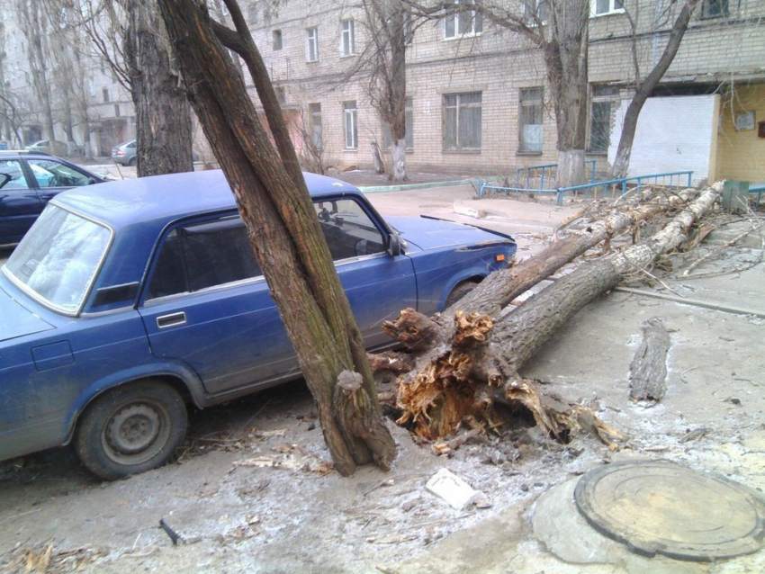 Последствия урагана в Воронеже продолжают поражать (ФОТО)