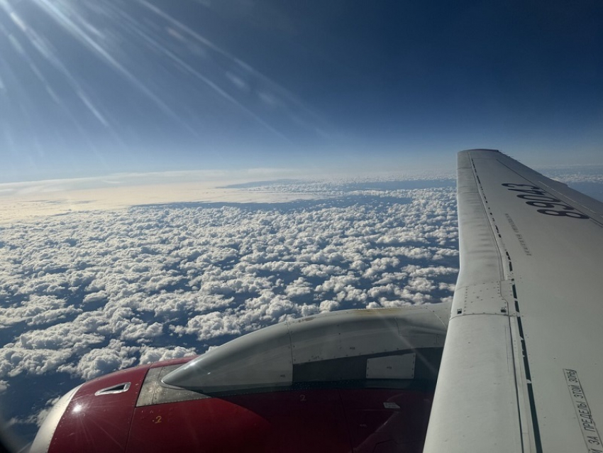 На 26% активнее: как Воронежская область покоряла мир на каникулах