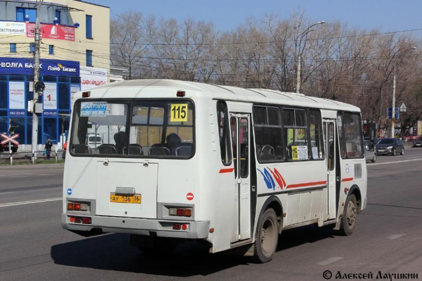 Автобус 86 воронеж. ПАЗ 4234 Воронеж. Воронеж автобус ПАЗ 52 маршрут. 115 Автобус. 115 Маршрут Воронеж.