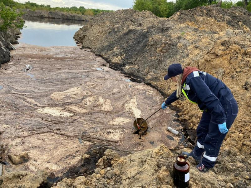 Курский арбитраж по «наводке» Росприроднадзора взыскал 5,6 млн рублей с воронежского бизнесмена 