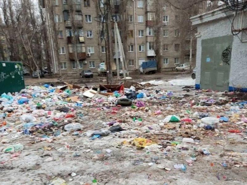«Стая у школы и горы мусора»: двор в Воронеже превратился в опасную свалку