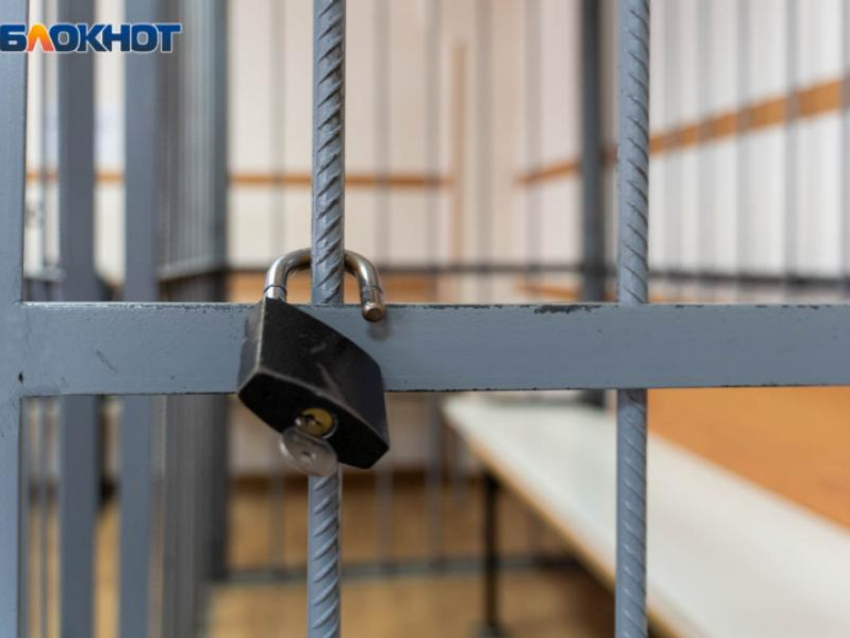  Затащил в кусты и изнасиловал: педофила из воронежского поселка осудили на 19,5 лет