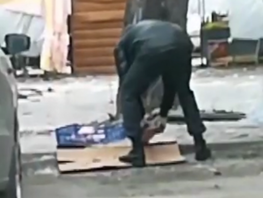 Прямо об асфальт разбивают мороженую рыбу перед продажей торговцы в Воронеже