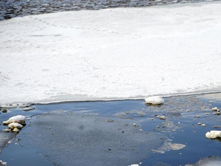 Тело женщины достали из-подо льда в Воронеже