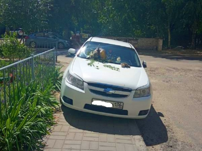 Машину типичного короля парковки забросали мусором в Воронеже