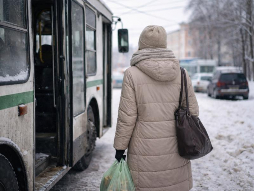 Почему поездка на автобусе поставила воронежанку на грань банкротства