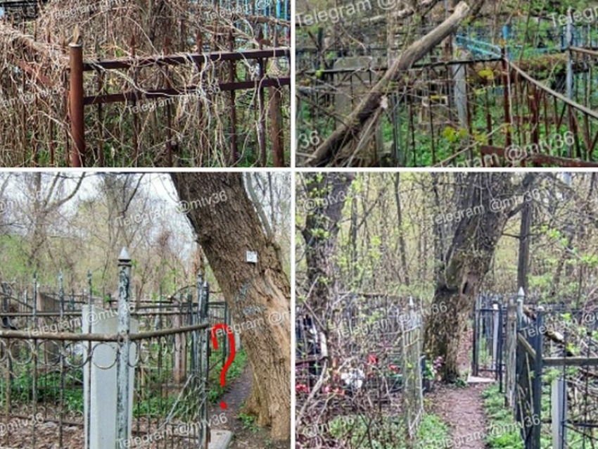 «Стыдно и противно»: кладбищенский апокалипсис сняли на фото в Воронеже