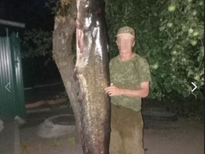 Двухметровое «чудище» выловили из воронежской реки