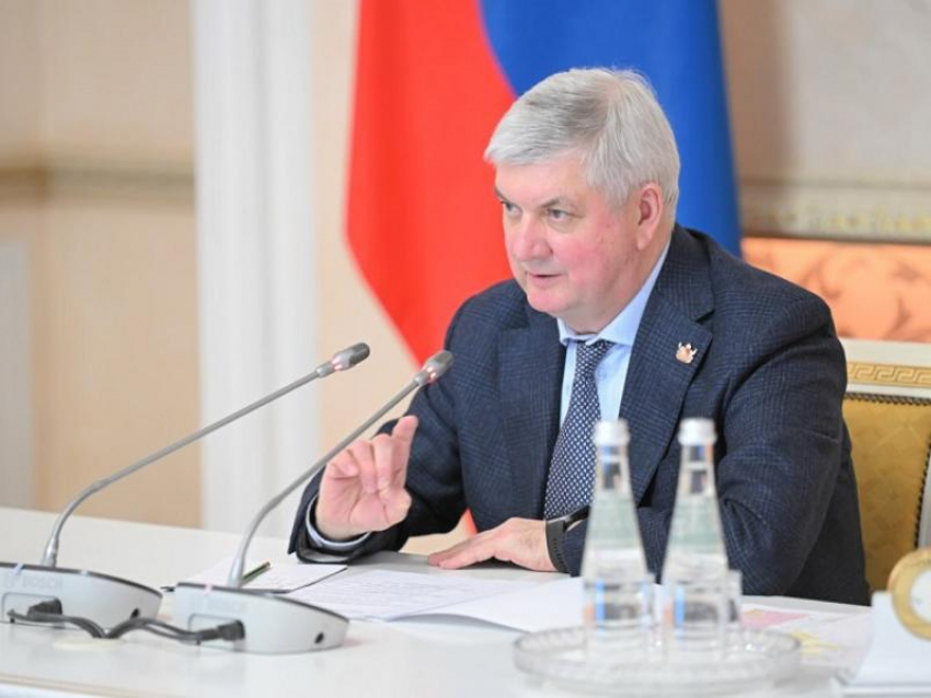 Гусев пригрозил оргвыводами в случае, если власти не справятся с последствиями снегопада в Воронеже