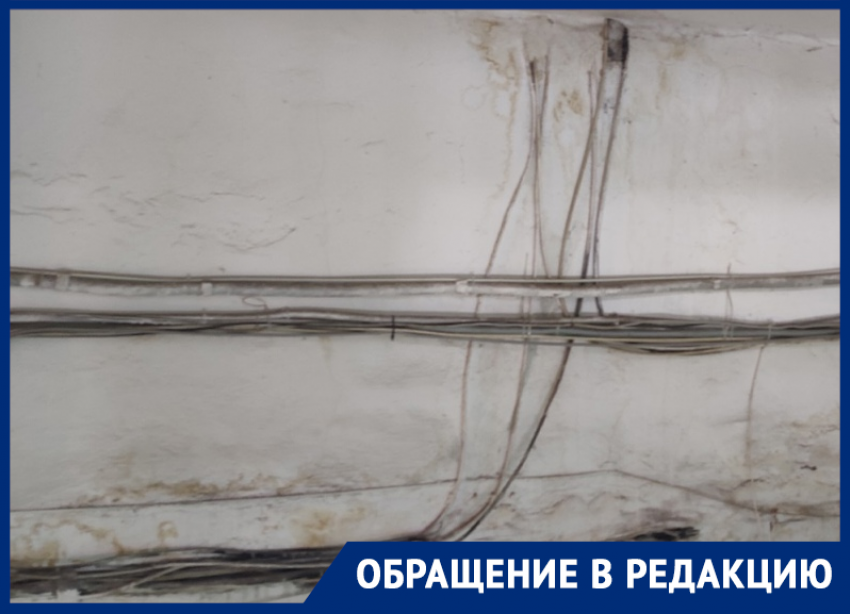 «Чудо, что дом не загорелся»: вооруженные тазиками воронежцы страдают от мокрых сюрпризов девятиэтажки 