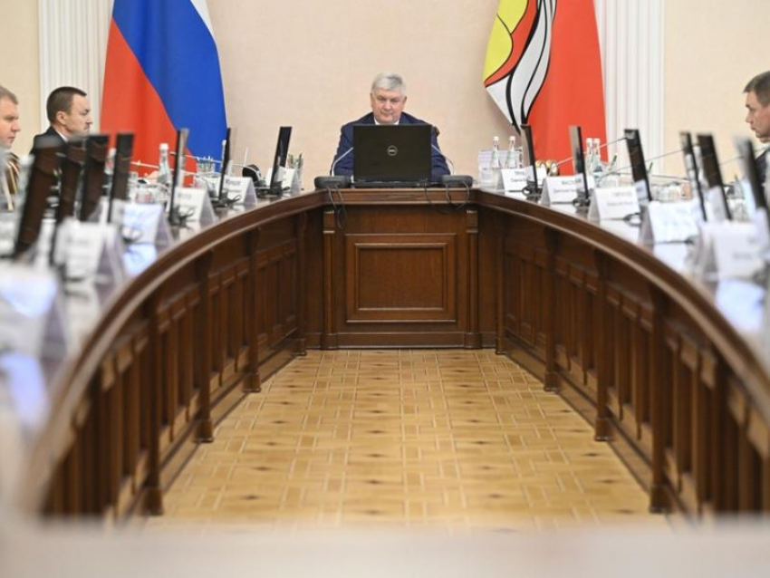 Воронежская область утвердила стратегию развития до 2028 года