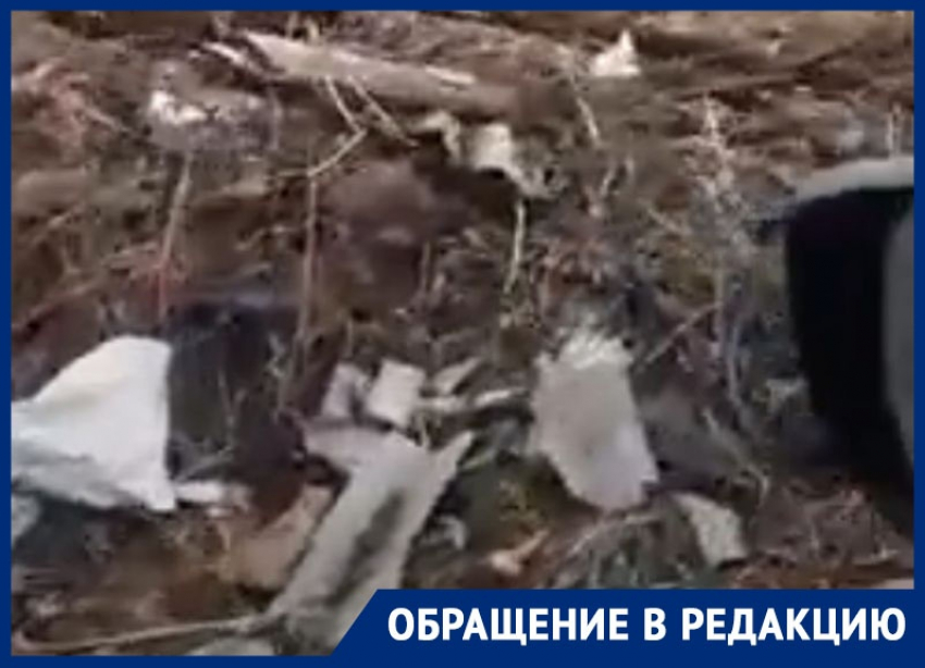 О тотальном уничтожении деревень мусором рассказал житель Воронежа