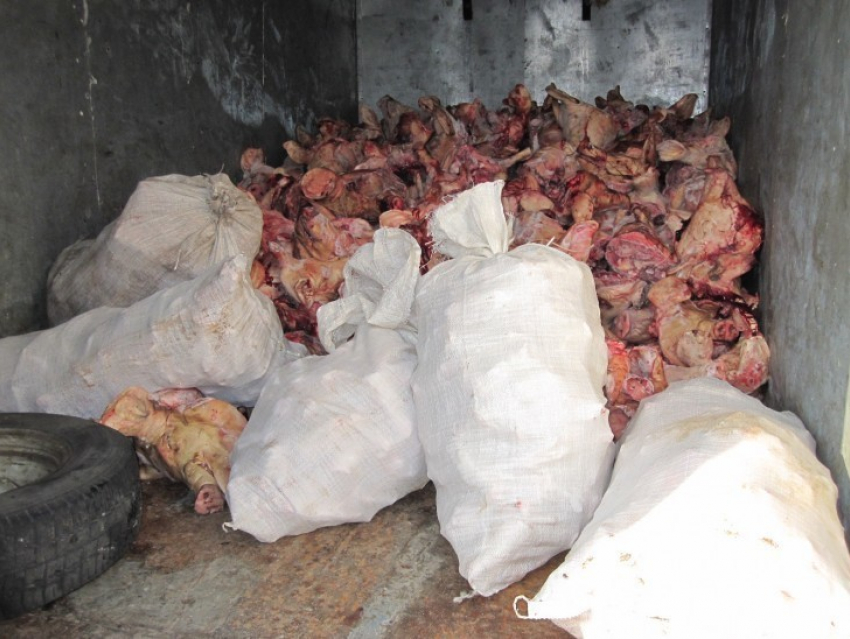В Воронежской области было изъято почти 2 тонны зараженных субпродуктов