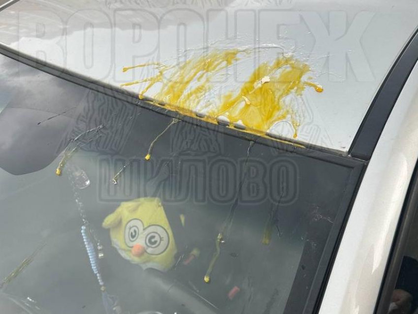 “Яичная атака”: опасное развлечение устроили в Воронеже