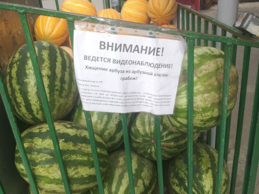 Точку по продаже арбузов в Воронеже обезопасили последним словом техники