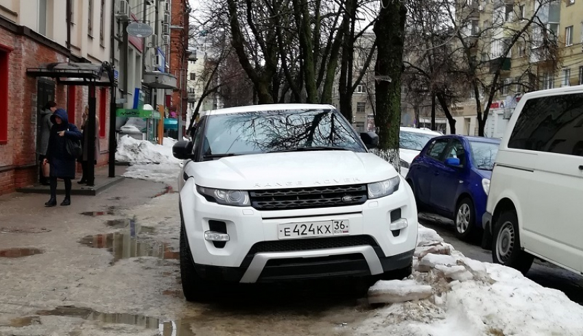 В центре Воронежа автохама научили правилам парковки газовым баллончиком