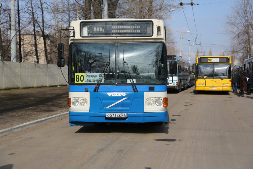 Количество автобусов увеличат на десятках маршрутов в Воронеже