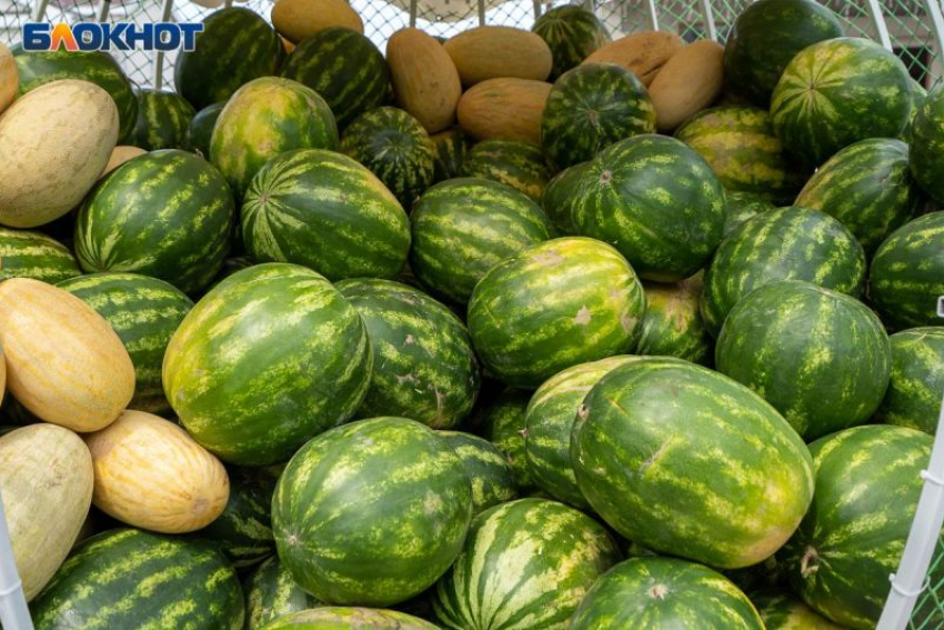 Больше 3 тонн опасных и некачественных арбузов и дынь было изъято в Воронеже