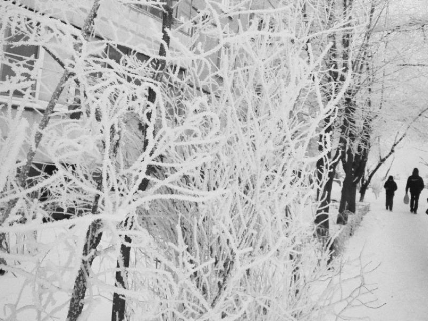 Сколько продлятся адские морозы в Воронеже, показал прогноз гидрометцентра