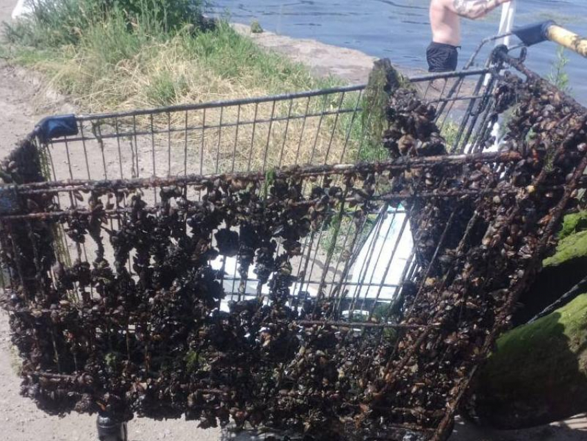 Необычный предмет достали со дна водохранилища в Воронеже