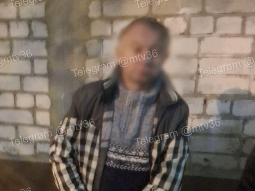 Педофила, прижимавшего девочку к стене, задержали в Воронеже