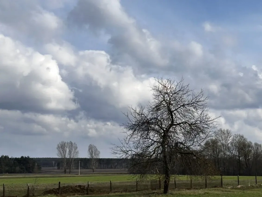 Никакой сухой Пасхи: как не замёрзнуть и не промокнуть в ближайшие три дня в Воронеже