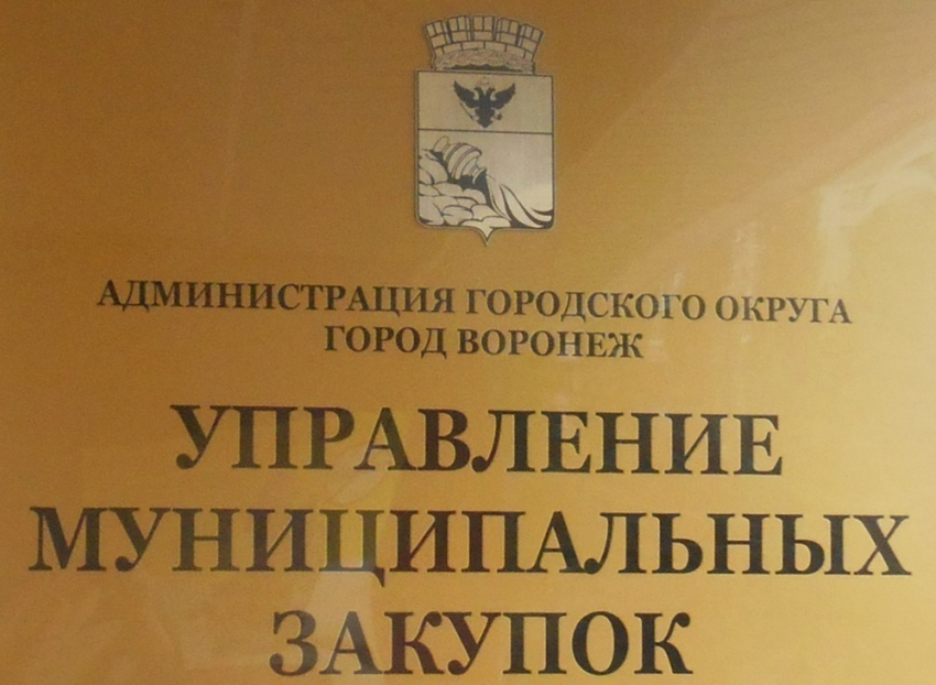 Воронежские чиновники устранили неугодную компанию от государственного аукциона