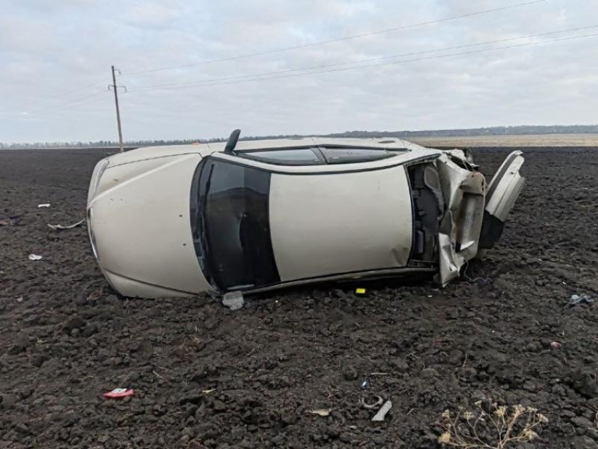 Попытка не сбить дикое животное отправила в кювет водителя в Воронежской области