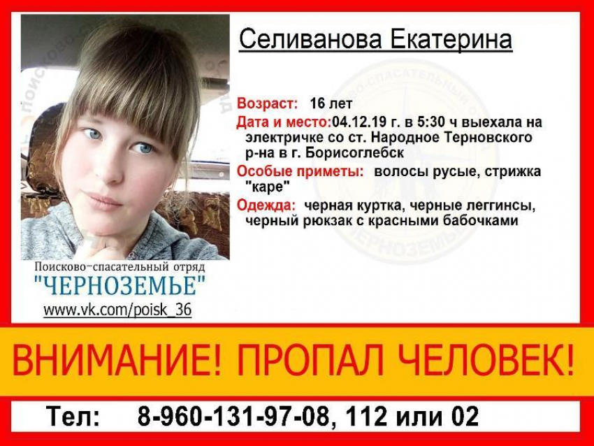 16-летняя девочка загадочно исчезла из электрички в Воронежской области