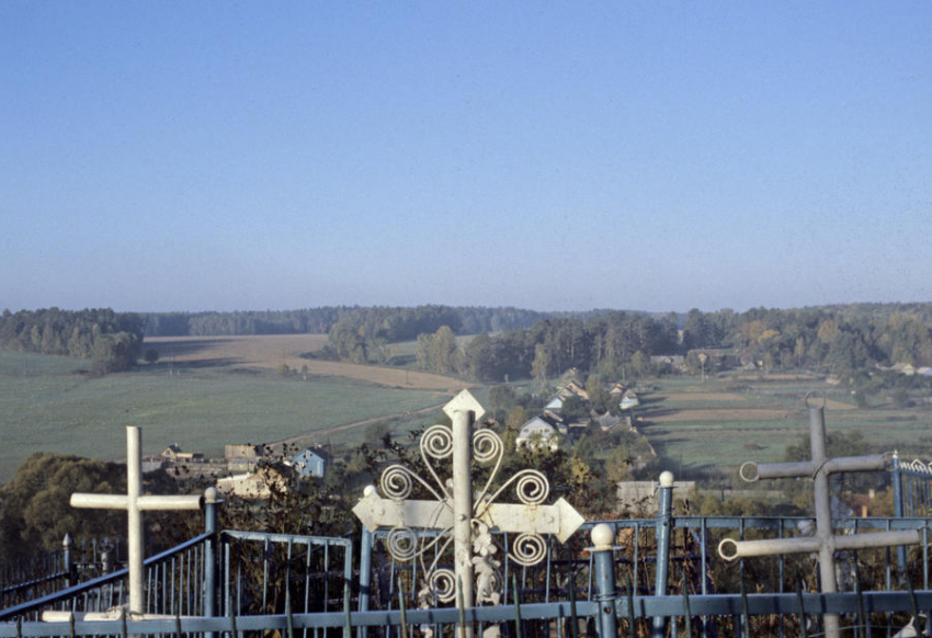 В Воронежской области трое мужчин воровали кладбищенские ограды