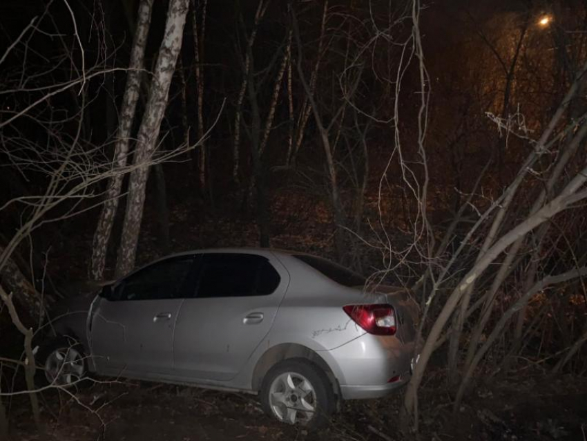 5 человек пострадали в ДТП с деревом в Воронеже