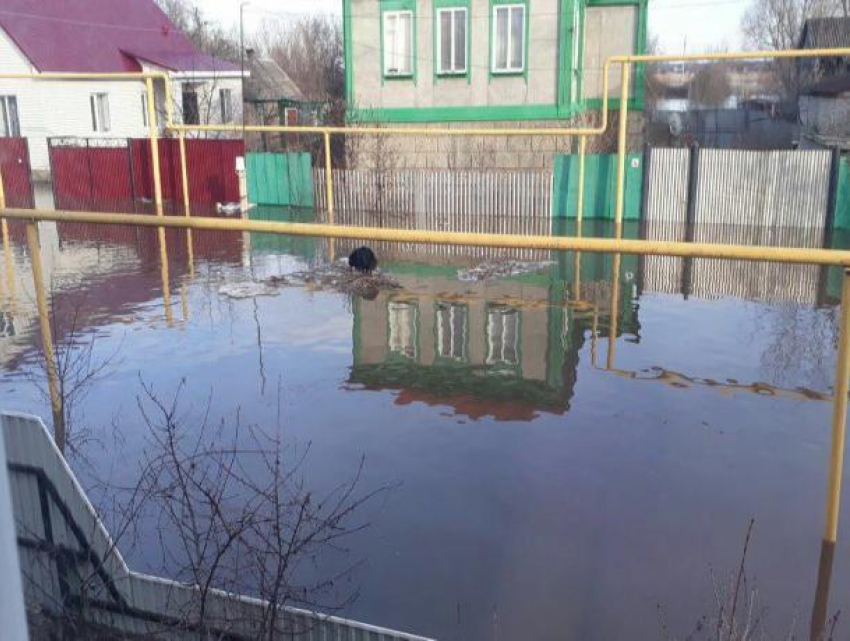 Воронежцы, пострадавшие от паводка, получат компенсации