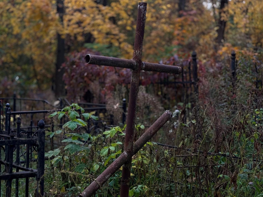 Под секретом остаются официальные данные о численности населения Воронежской области 