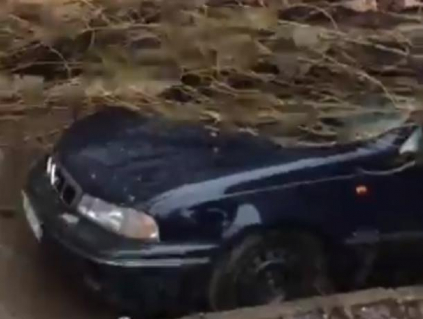 На видео попало дерево, раздавившее машину и чуть не убившее воронежцев