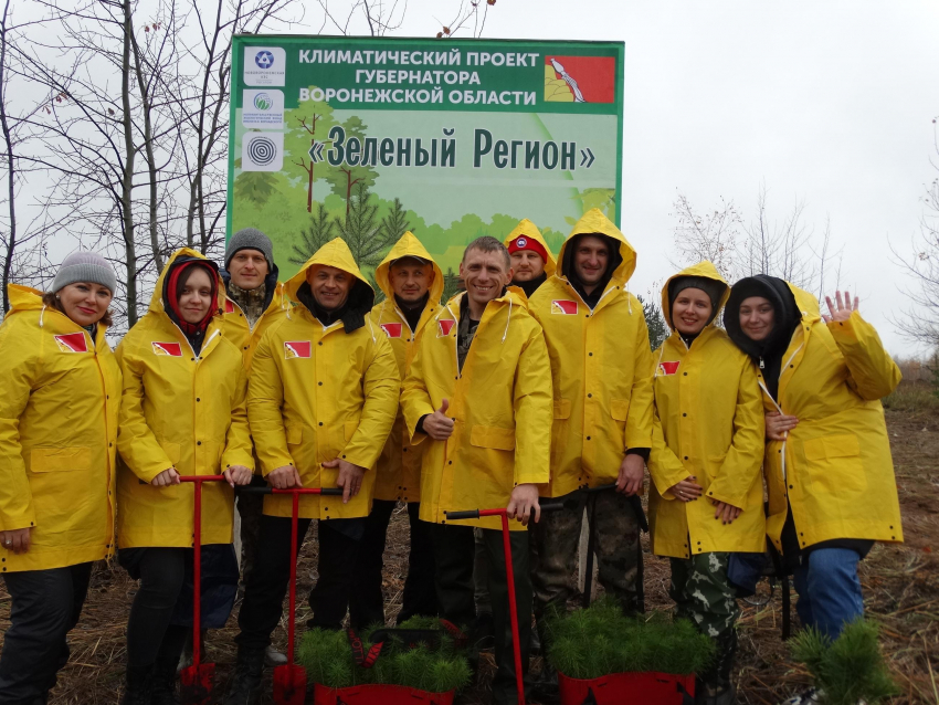 Под Воронежем высадили новый лес