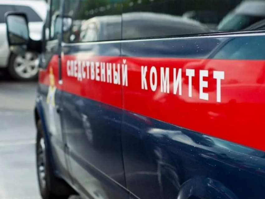 Тело 17-летней девушки нашли на улице в Воронежской области