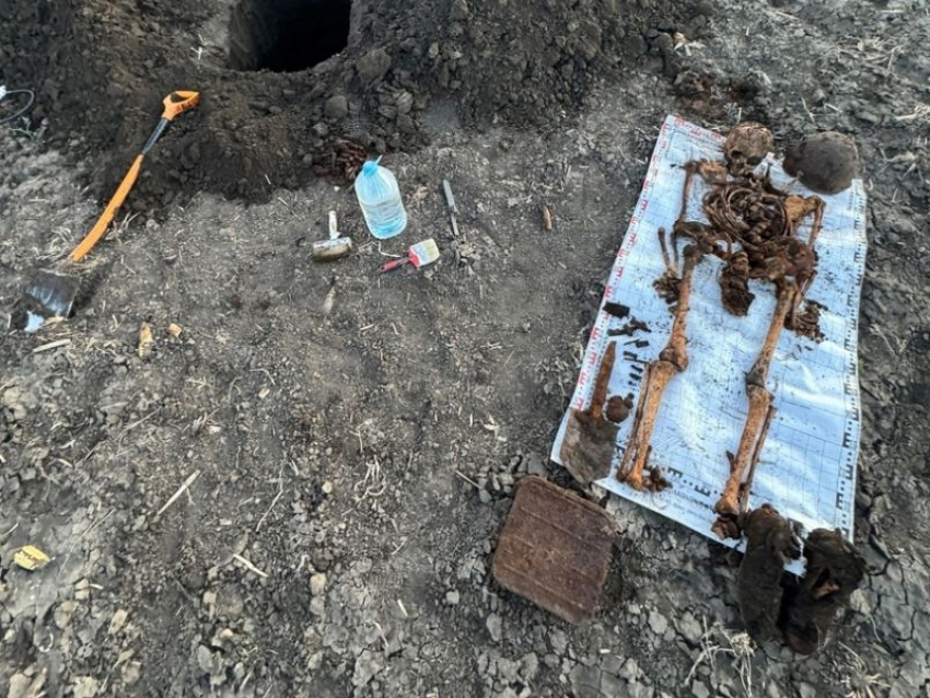 Опубликовано фото найденных останков трех красноармейцев под Воронежем