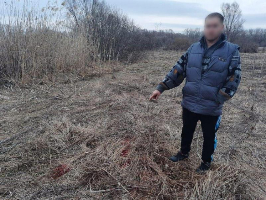 Супругов, набивших «Мазду» трупами косуль, осудят в Воронежской области  