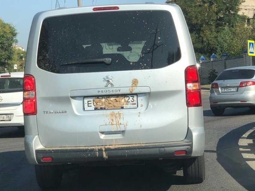 Гость на Peugeot проехался по Воронежу с отвратительным номером 