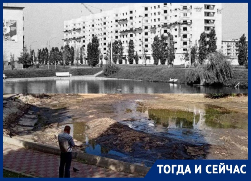 Раскрываем историю появления Лебединого озера на Минской в Воронеже